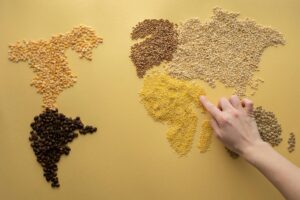 Tesco’s World Food Aisle: Where Great Bargains Hide